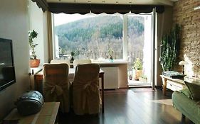 Apartament rodzinny 2 pokojowy. Widok na Snieżke.